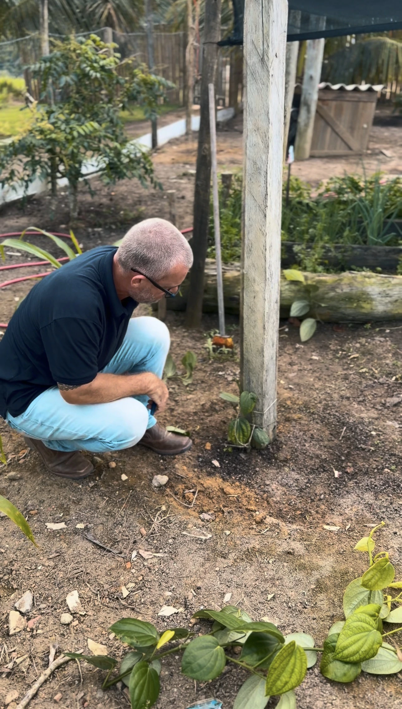 Experiência prática da Erasmo Agro no campo — imagem 15 de 38